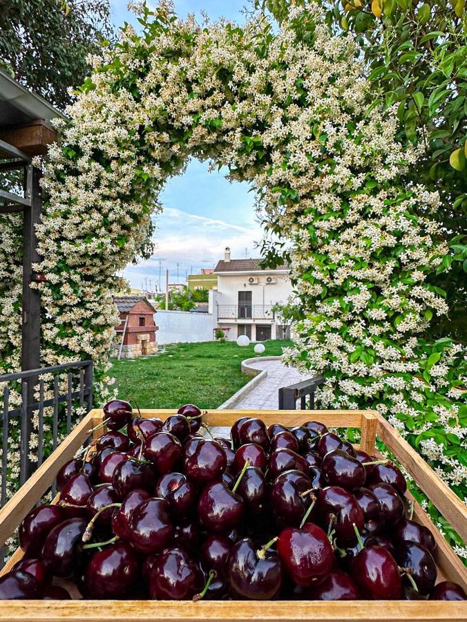 Villa Ardigo - Camera O Appartamento Бари Экстерьер фото